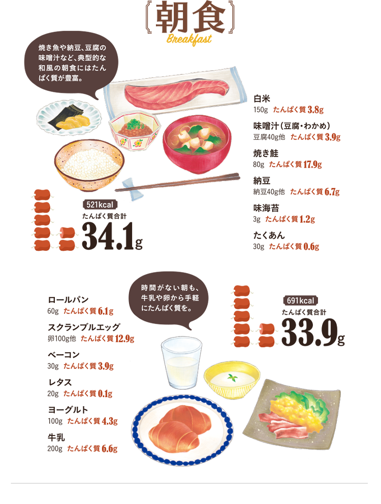 朝食　焼き魚や納豆、豆腐の味噌汁など、典型的な和風の朝食にはたんぱく質が豊富。　白米150g…たんぱく質3.8g＋味噌汁（豆腐・わかめ）140g…たんぱく質3.7g＋焼き鮭80g…たんぱく質17.9g＋納豆55g…たんぱく質8.4g＋味海苔3g…たんぱく質1.2g＋たくあん60g…たんぱく質1.1g＝588kcalたんぱく質合計36.1g　時間がない朝も牛乳や卵から手軽にたんぱく質を。　ロールパン60g…たんぱく質6.1g＋スクランブルエッグ120g…たんぱく質13.0g＋ベーコン30g…たんぱく質3.9g＋レタス20g…たんぱく質0.1g＋ヨーグルト100g…たんぱく質4.3g＋牛乳200g…たんぱく質6.6g＝679kcalたんぱく質合計34.0g