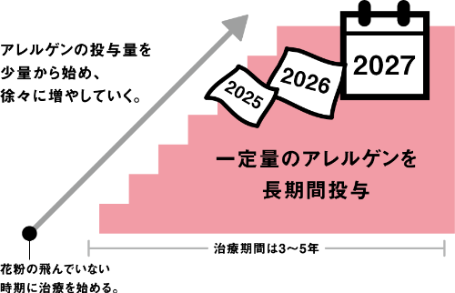 花粉の飛んでいない時期に治療を始める。アレルゲンの投与量を少量から始め、徐々に増やしていく。治療期間は3～5年