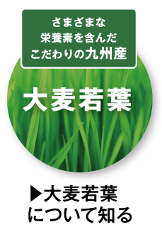 さまざまな栄養素を含んだこだわりの九州産大麦若葉　大麦若葉について知る