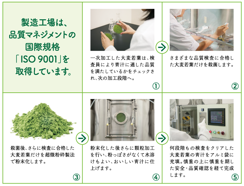 製造工場は、品質マネジメントの国際規格「ISO9001」を取得しています。　一次加工した大麦若葉は、検査員により青汁に適した品質を満たしているかをチェックされ、次の加工段階へ。　さまざまな品質検査に合格した大麦若葉だけを殺菌します。　殺菌後、さらに検査に合格した大麦若葉だけを超微粉砕製法で粉末化します。　粉末化した後さらに顆粒加工を行い、粉っぽさがなくて水溶けもよい、おいしい青汁に仕上げます。　何段階もの検査をクリアした大麦若葉の青汁をアルミ袋に充填。慎重の上に慎重を期した安全・品質確認を経て完成します。