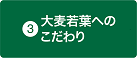 大麦若葉へのこだわり