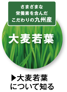 さまざまな栄養素を含んだこだわりの九州産大麦若葉　大麦若葉について知る