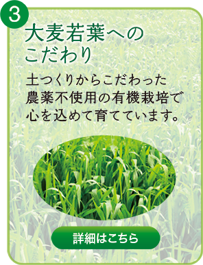 大麦若葉へのこだわり