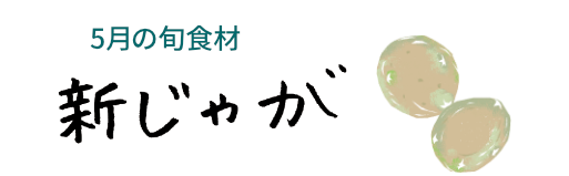 5月の旬食材 キャベツ