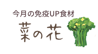 今月の免疫UP食材　菜の花