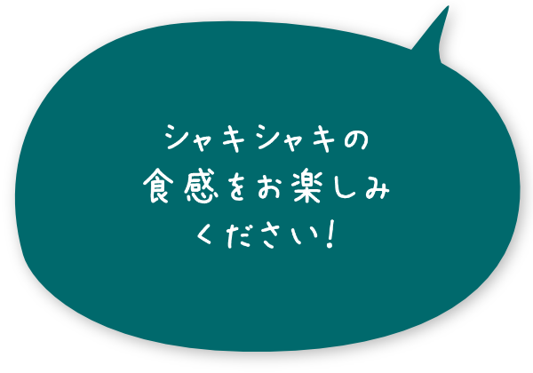 シャキシャキの食感をお楽しみください！