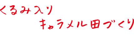 くるみ入りキャラメル田づくり