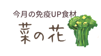 今月の免疫UP食材　菜の花