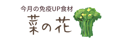 今月の免疫UP食材　菜の花
