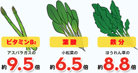 大麦若葉（粉末）100gと野菜の比較