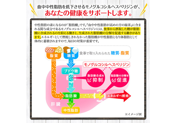 大幅値下げ【新品未開封8箱】大正製薬 血中中性脂肪が高めの方の緑茶 30袋×8箱 血中中性脂肪が高めの方の緑茶 |【公式】大正製薬ダイレクトオンライン